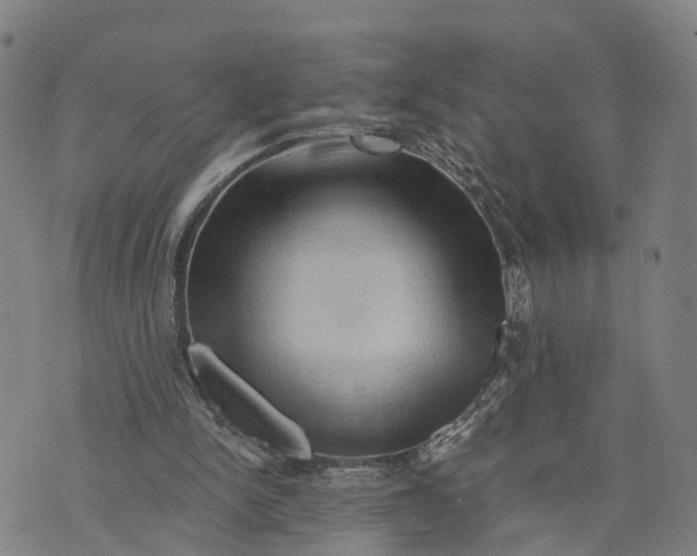 X0000073750150200608241355