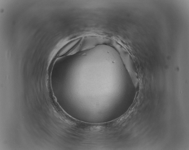 X0000073750152200608241355