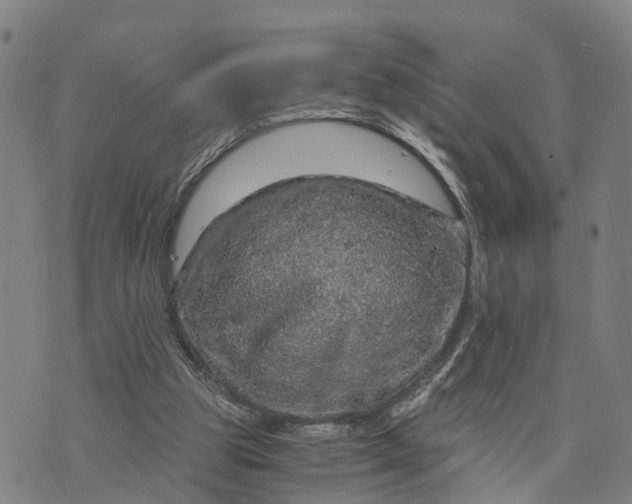 X0000073750153200608241356