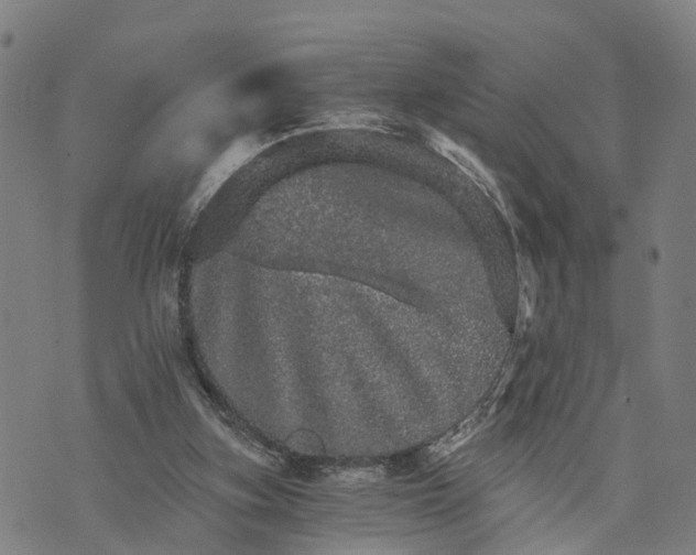 X0000073750155200608241356