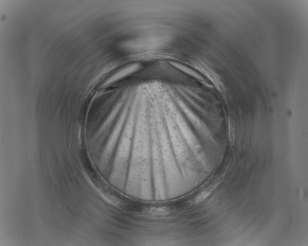 X0000073750157200608241356