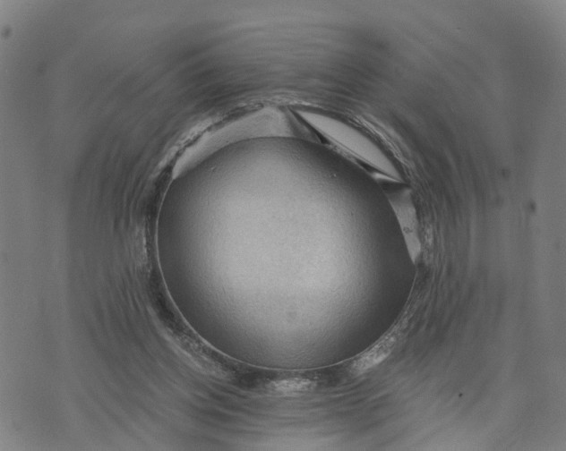 X0000073750158200608241356