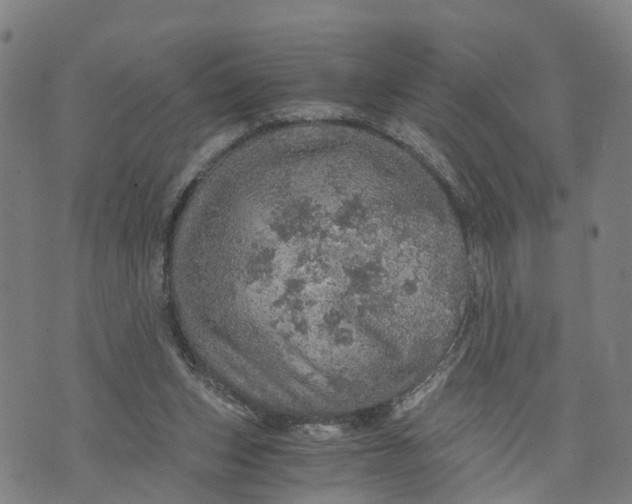 X0000073750159200608241356