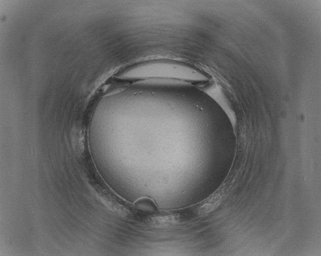 X0000073750160200608241356