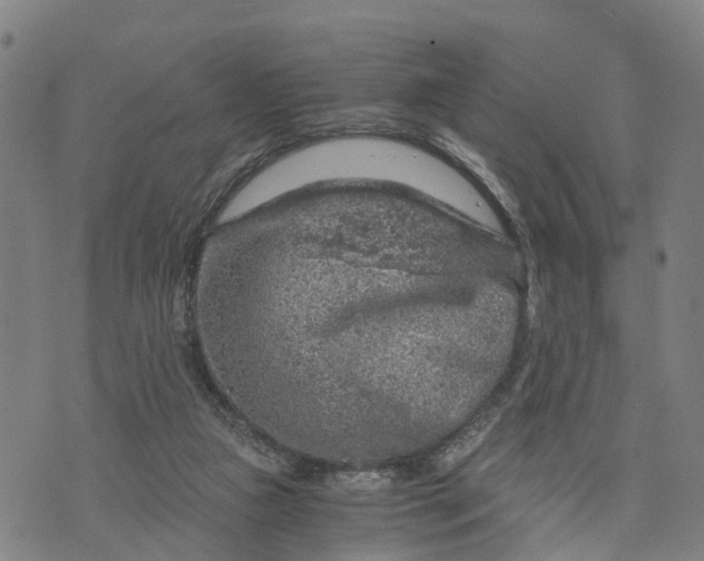 X0000073750161200608241356