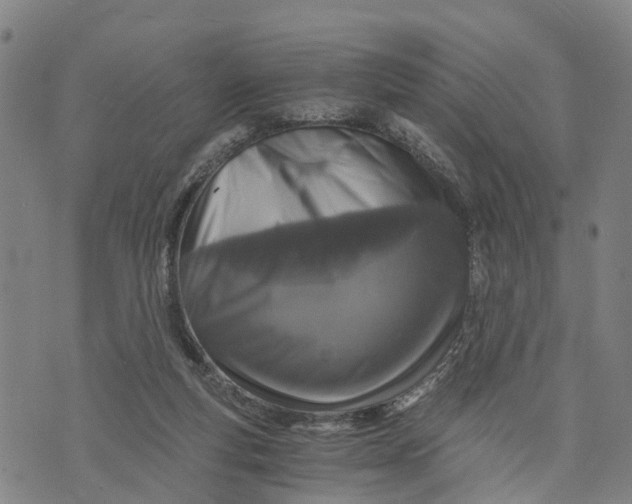 X0000073750163200608241356