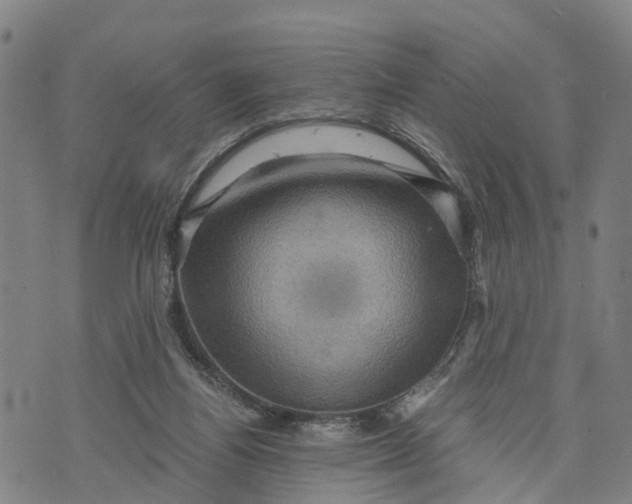 X0000073750164200608241356