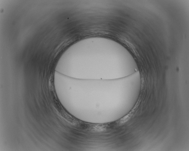 X0000073750166200608241356