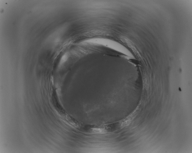 X0000073750167200608241356