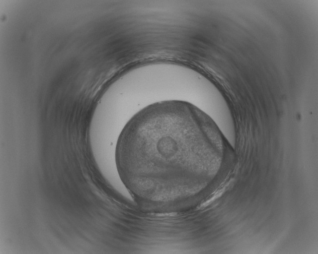 X0000073750168200608241356