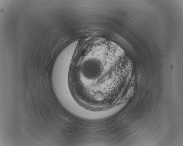 X0000073750169200608241356