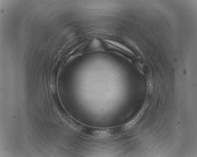 X0000073750170200608241356