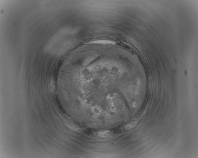 X0000073750173200608241356