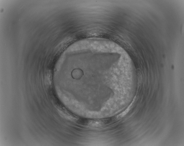 X0000073750174200608241356