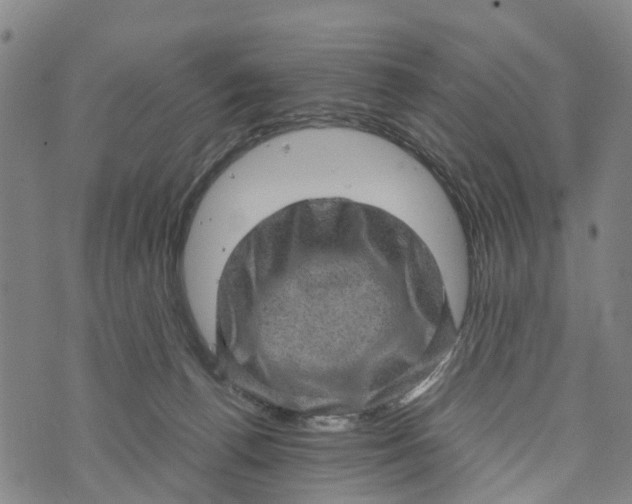 X0000073750176200608241356