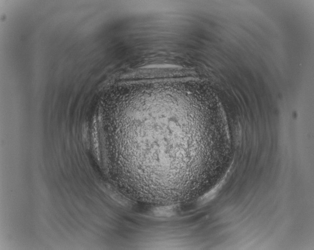 X0000073750178200608241356