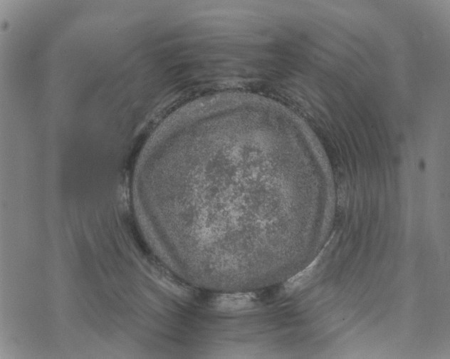 X0000073750179200608241356