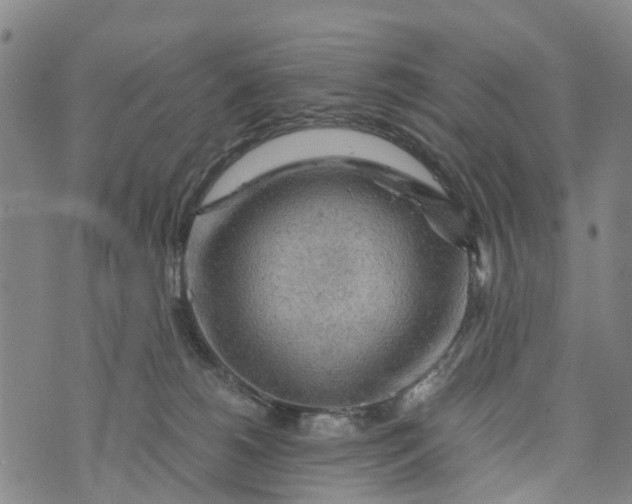 X0000073750180200608241356