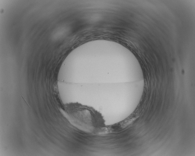 X0000073750181200608241356