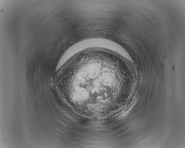 X0000073750182200608241356