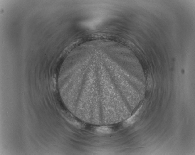 X0000073750183200608241356