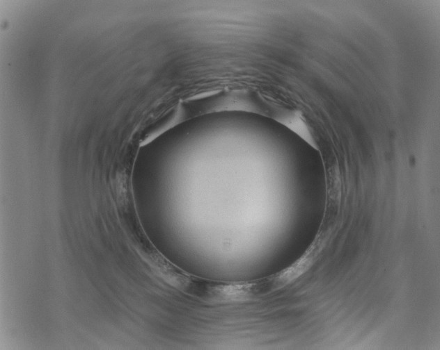 X0000073750184200608241356