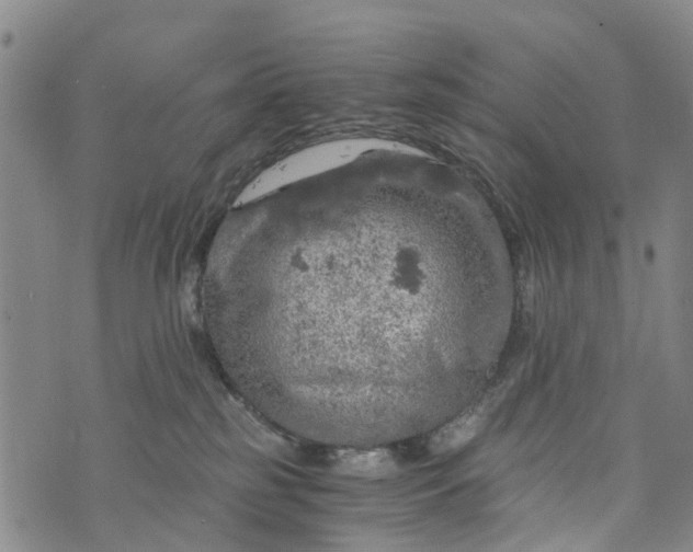 X0000073750185200608241356