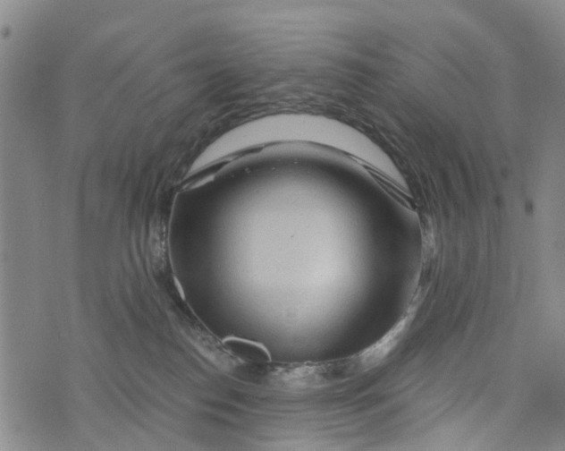 X0000073750186200608241356