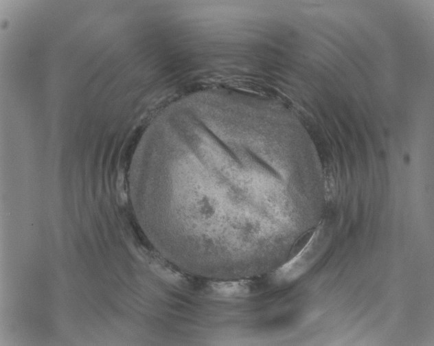 X0000073750187200608241356