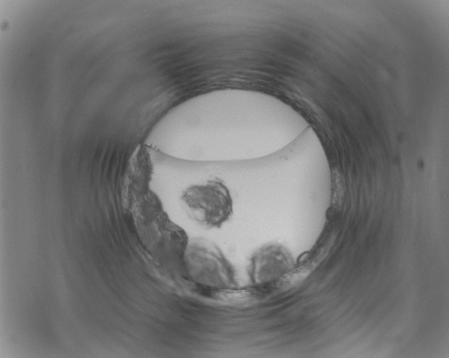 X0000073750189200608241356