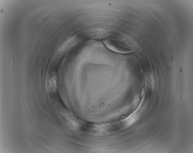 X0000073750190200608241356