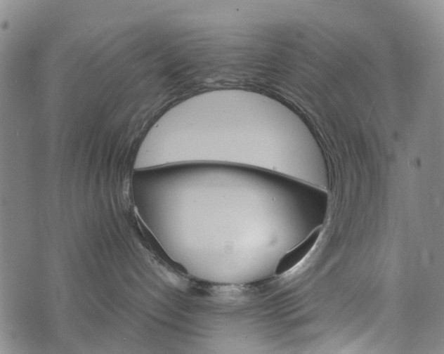 X0000073750192200608241356