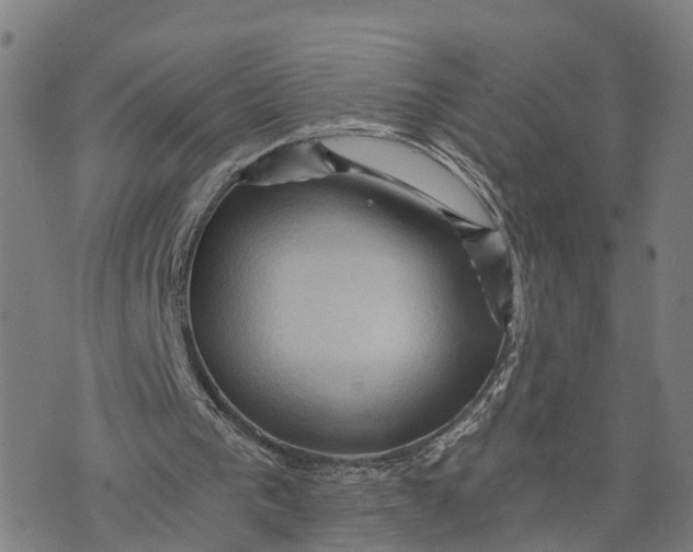 X0000073750193200608241355