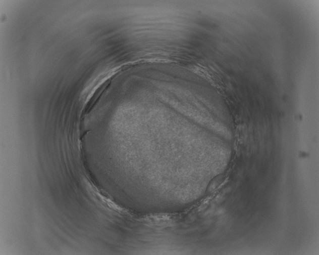 X0000073750194200608241355