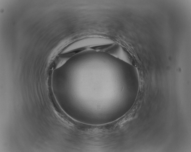 X0000073750197200608241355