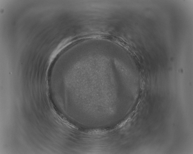 X0000073750198200608241355