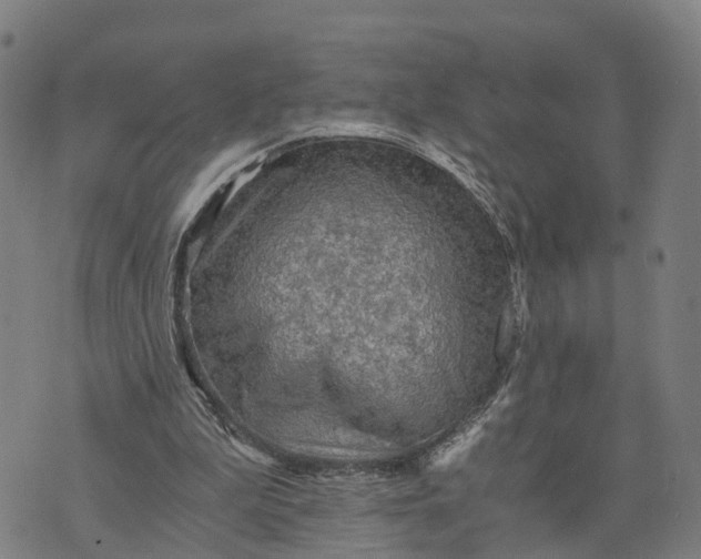 X0000073750199200608241355