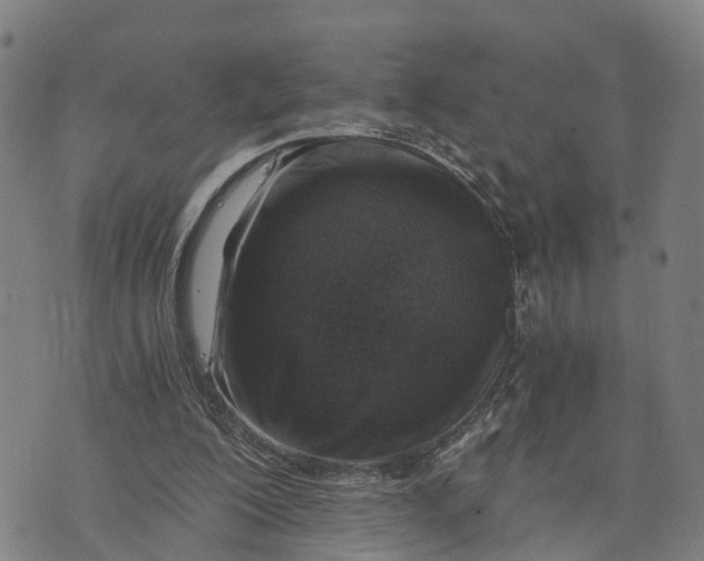 X0000073750200200608241355