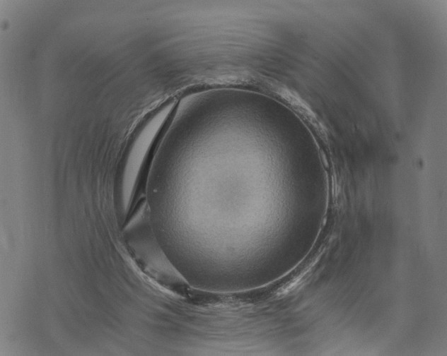 X0000073750201200608241355