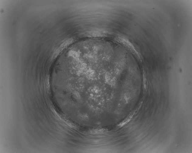 X0000073750202200608241355