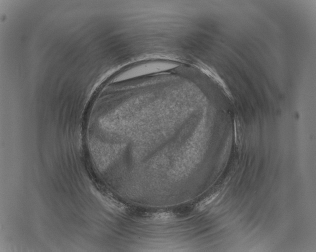 X0000073750204200608241355