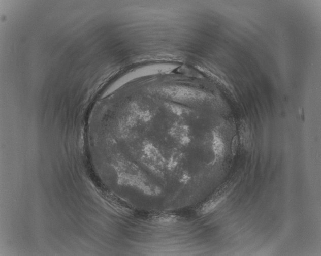 X0000073750206200608241355