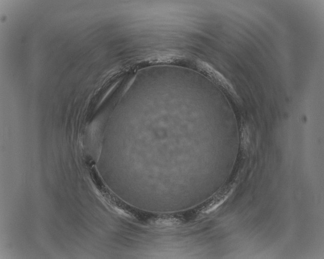 X0000073750209200608241355