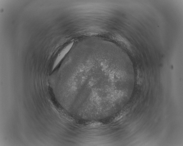 X0000073750210200608241355