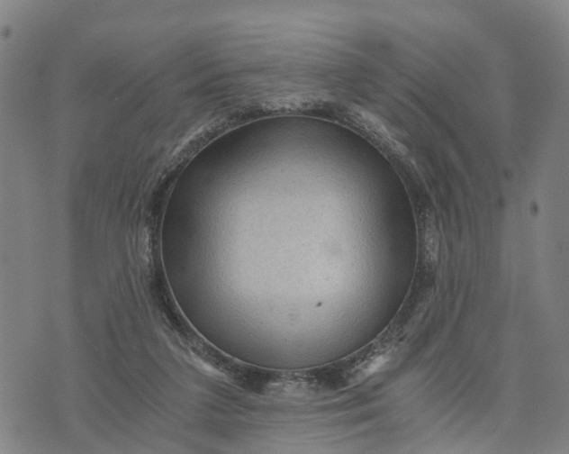 X0000073750211200608241355