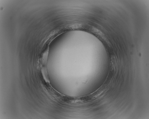 X0000073750212200608241355