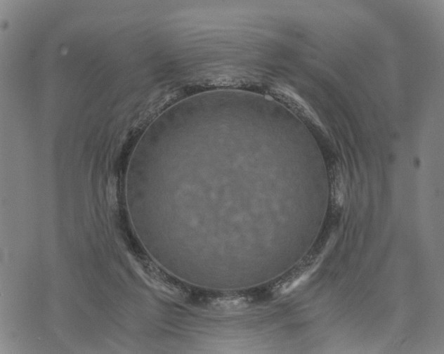 X0000073750213200608241355