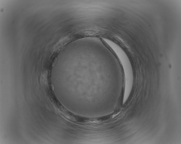 X0000073750217200608241355