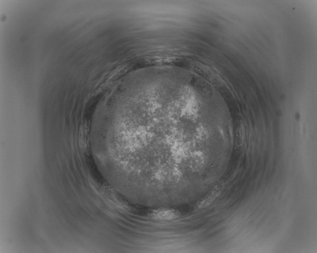 X0000073750218200608241355