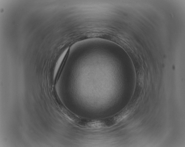 X0000073750219200608241355